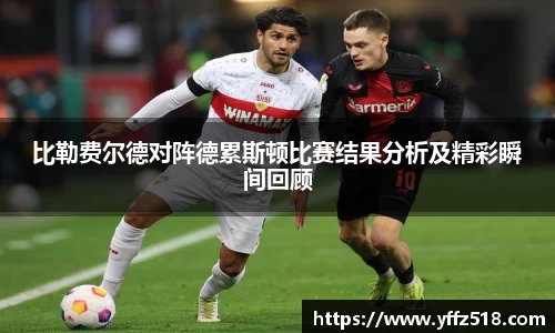开云电竞